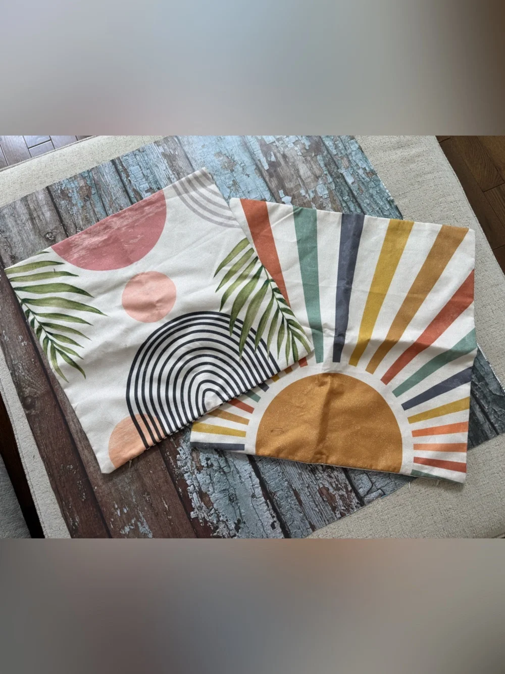 Two decorative pillow cases
